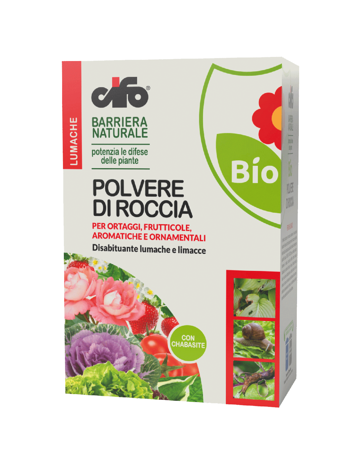 POLVERE DI ROCCIA