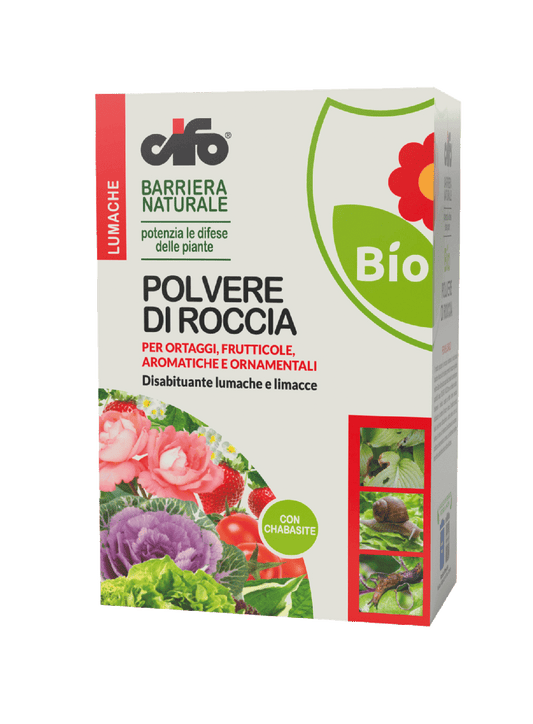 POLVERE DI ROCCIA